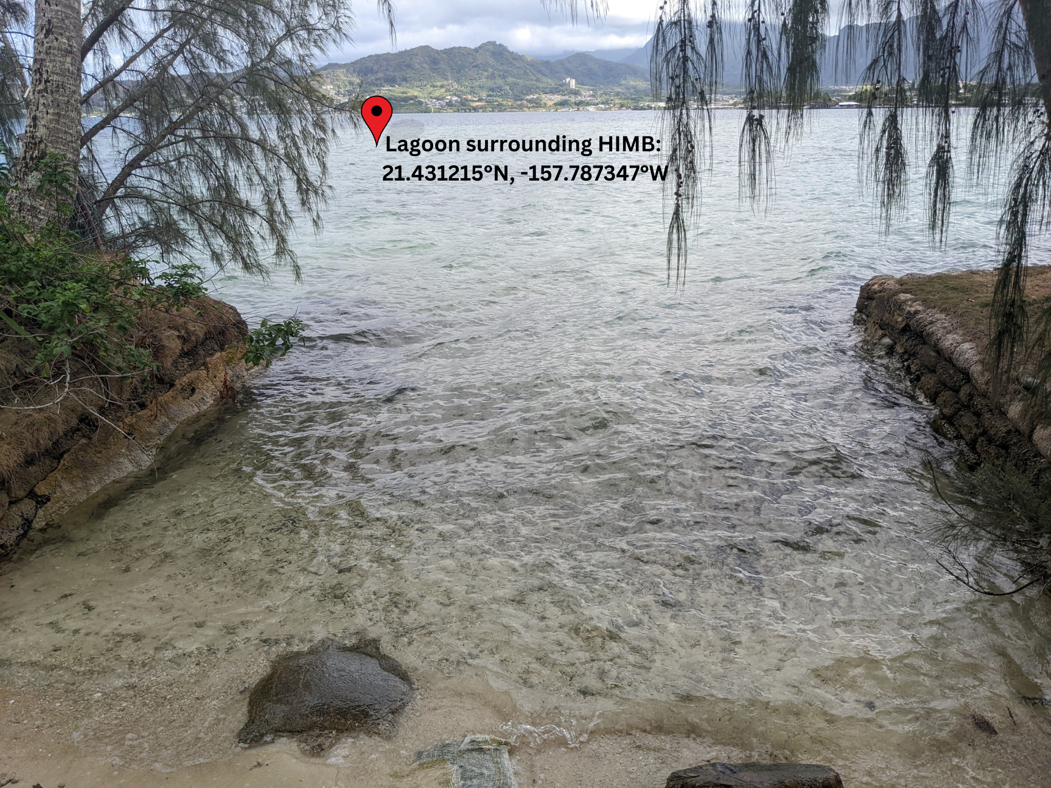 Lagoon snorkel entrance to fringing reef surrounding HIMB