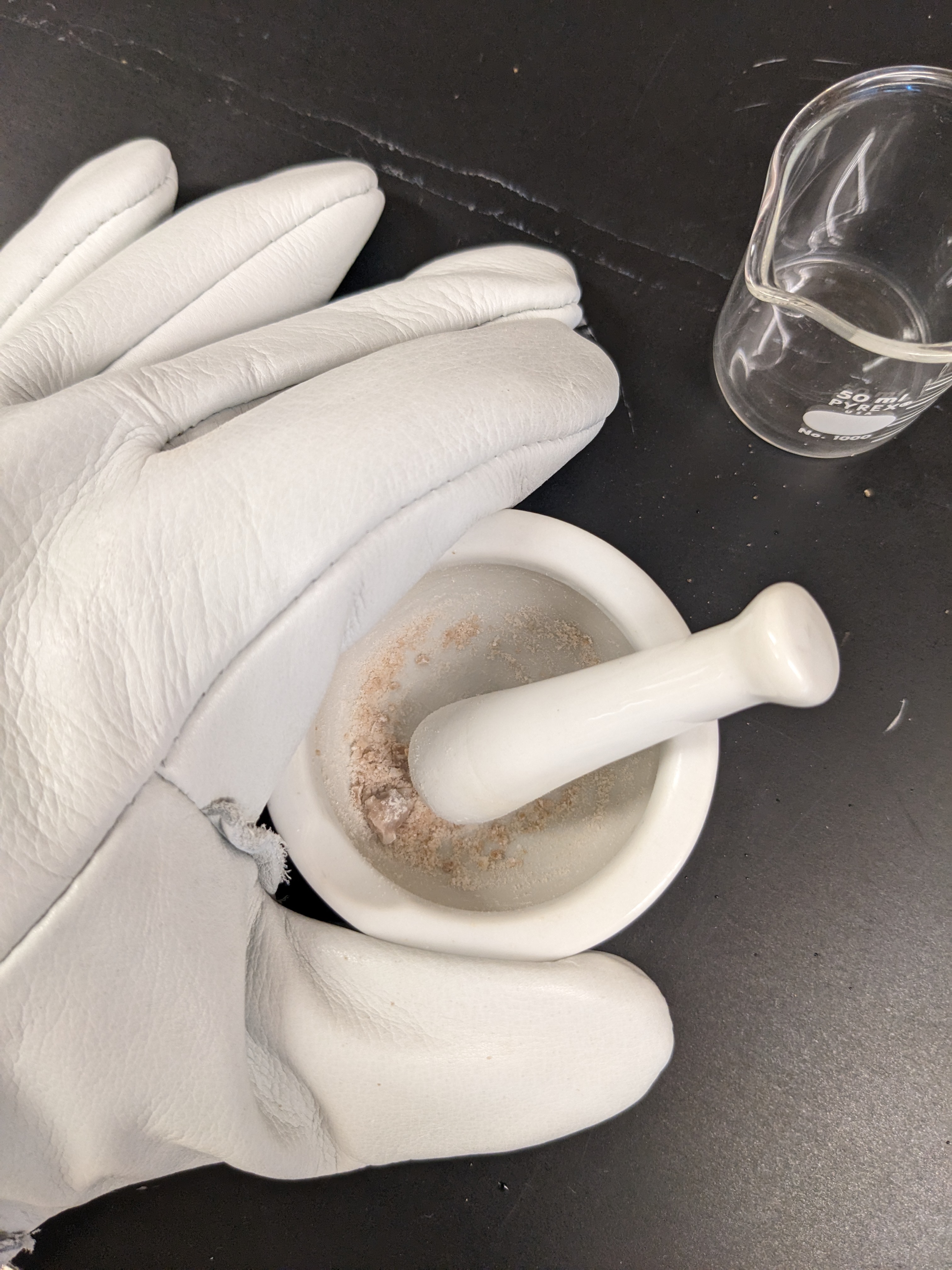 mortar and pestle with cryogloves